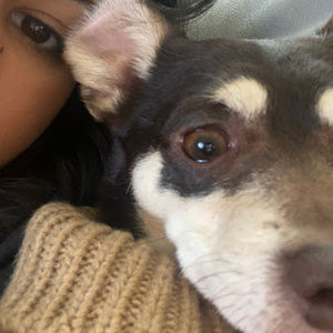 Meet your Posher, Addi